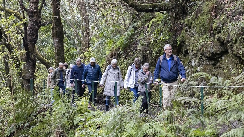Udflugt 3: Santa Cruz og Levada (inkl. frokost)